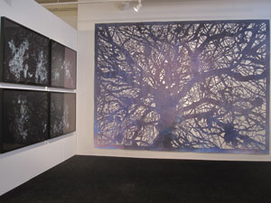 view of the show1